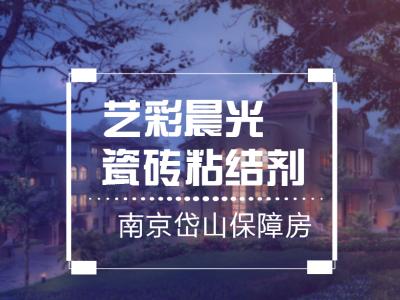 艺彩晨光瓷砖粘结剂优秀案例：南京岱山保障房公共部位翻新